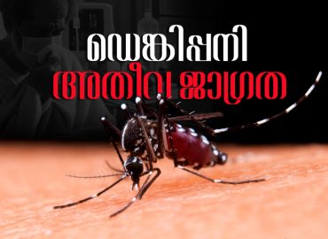 Second time dengue will be complicated, be very careful