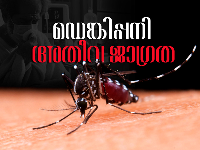 Second time dengue will be complicated, be very careful