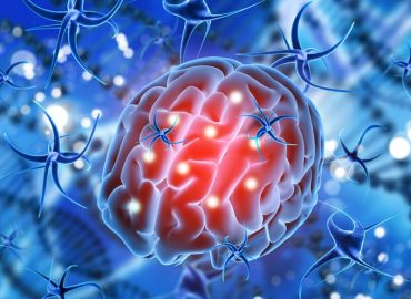 Caution should be taken against amoebic encephalitis State RRT meeting chaired by Minister