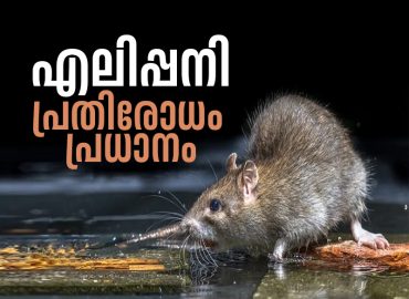 Those who interact with soil and wastewater should take doxycycline