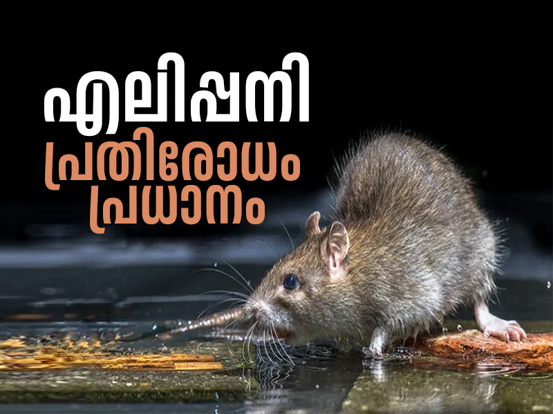 Those who interact with soil and wastewater should take doxycycline